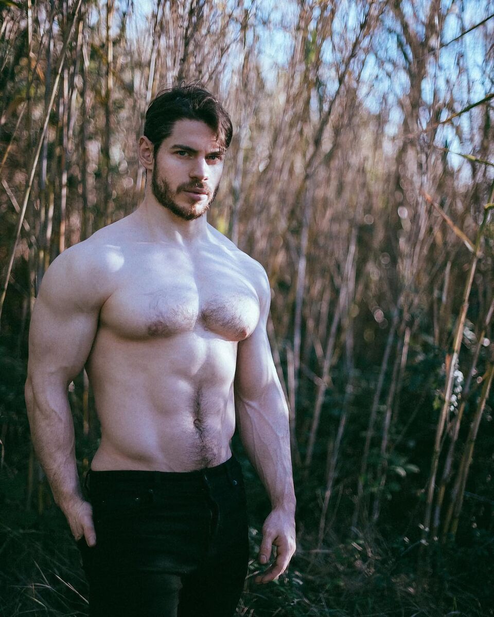 fav490.jpg