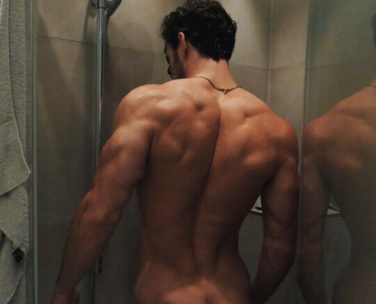 Nice rear lat view.