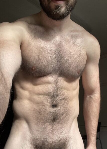 Hairy torso