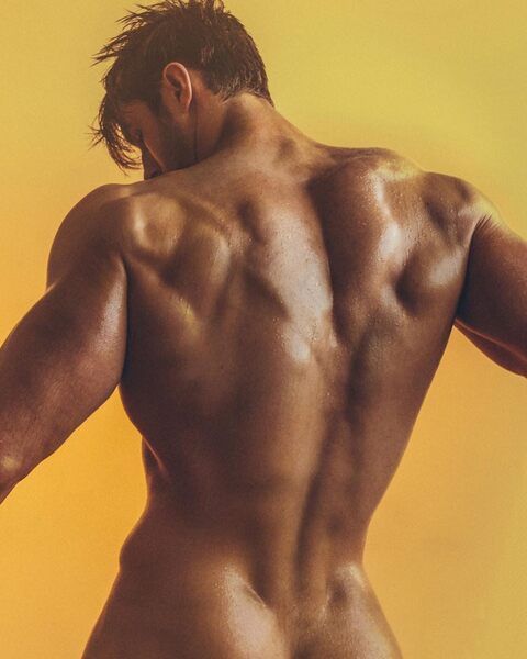 Dorsal torso