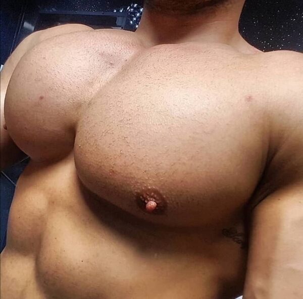 Nips begging for attention