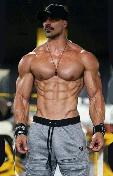 Alpha male