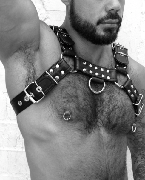 Obviously he and his nips have been around the block more than once!