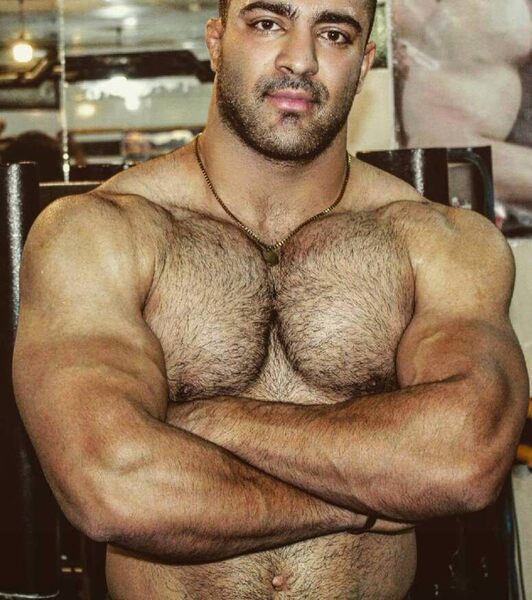 His hairy chest and scruff beard beckon you…