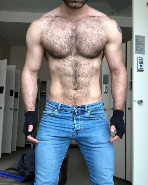 Hairy muscular torso