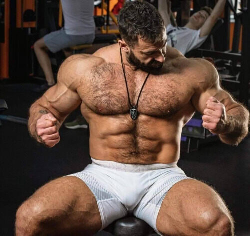 Big gym muscle
