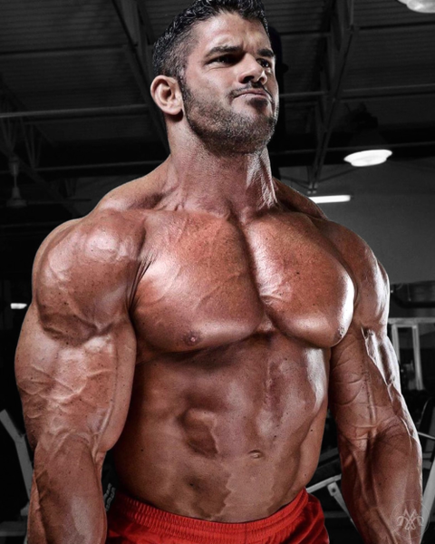 Alpha male determination…