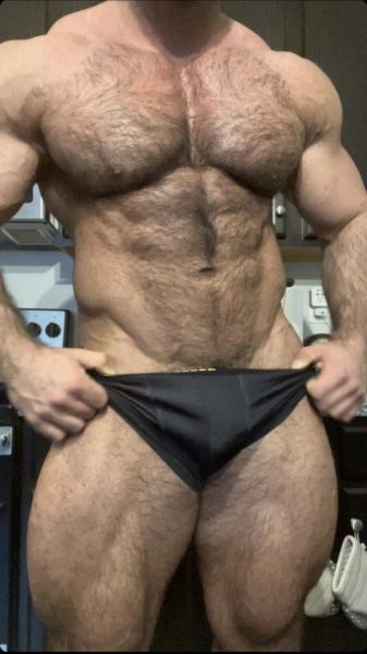 Gorgeously hairy torso
