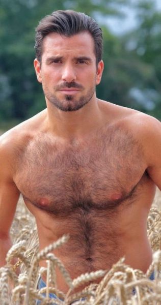 Field of dreams...