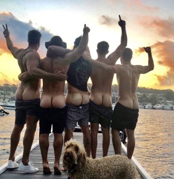 Five Fine Fellows & Fido