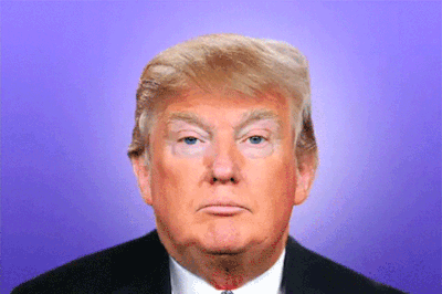 687_1000.gif