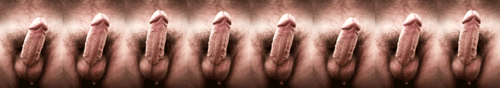 167_1000.gif