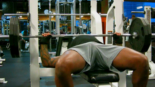 254_1000.gif