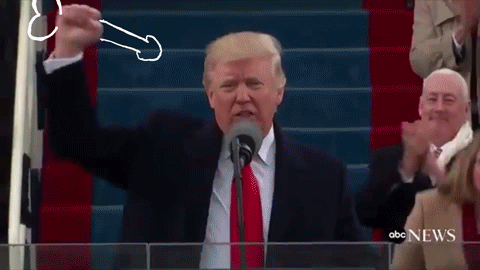 277_1000.gif