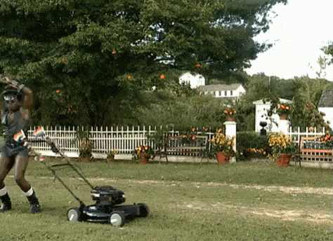 289_1000.gif