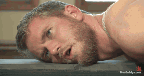 440_1000.gif
