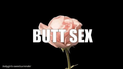 582_1000.gif