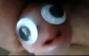 845_1000.gif