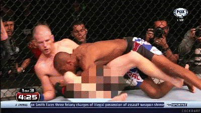 858_1000.gif