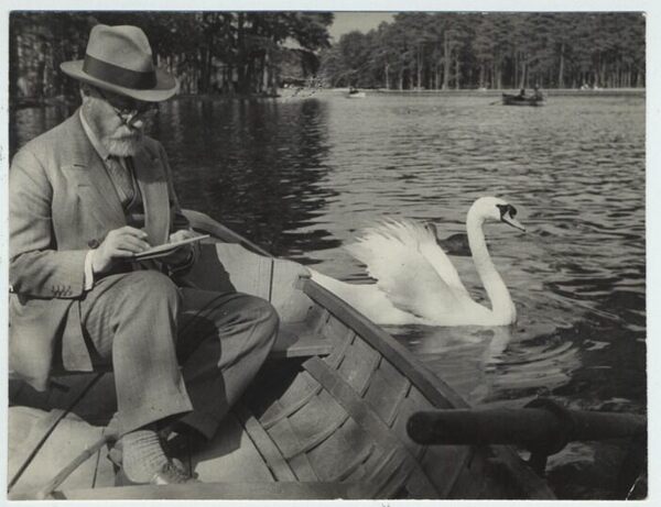 Swan Lake ... and Henri Matisse
