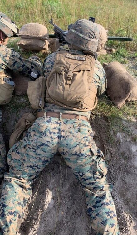 Marine Ass.jpg