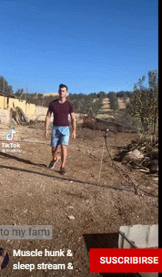 de lado izquierdo bulge.gif