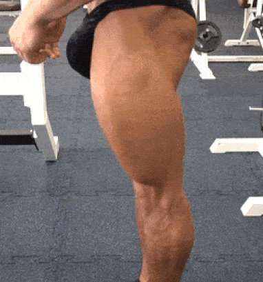 ezgif-2-c1ce775e29.gif