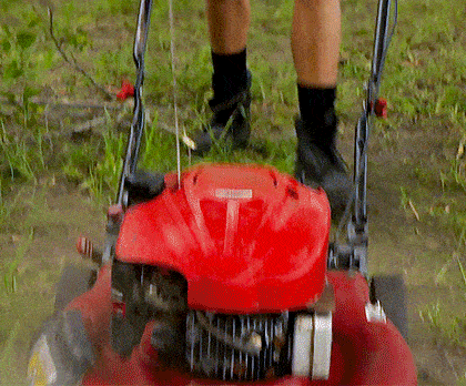ezgif-3-0fa27ae776.gif