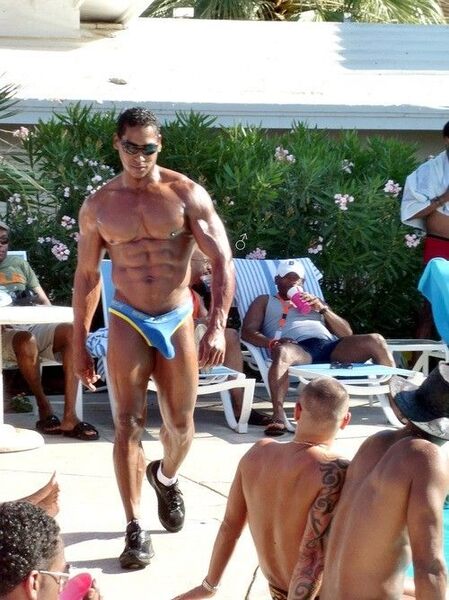 public_bulge_tumb-1208.jpg