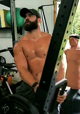 sp dfk (13).gif