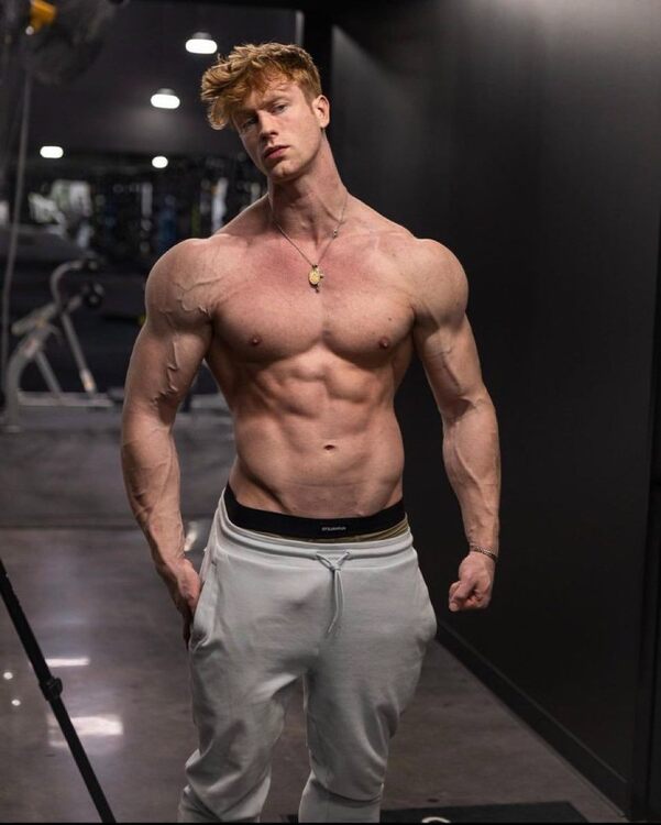 Ginger Studmuffin.jpg