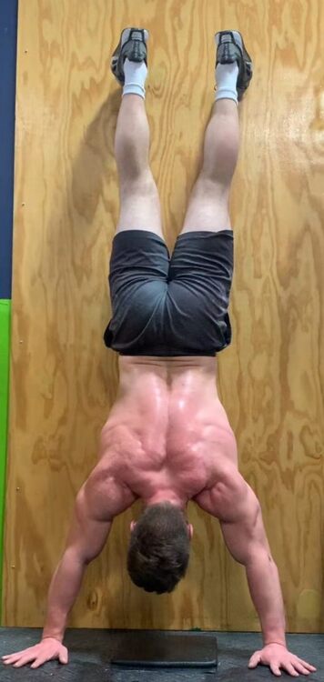 Handstanding Muscles.jpg