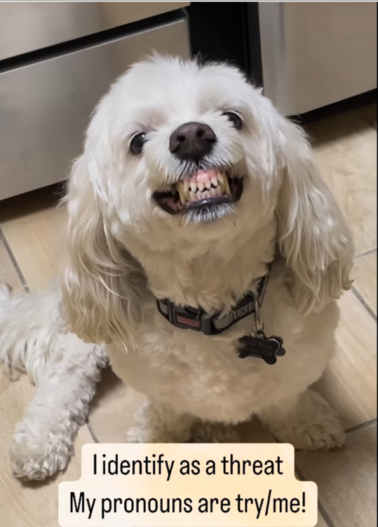 Screenshot (818).png