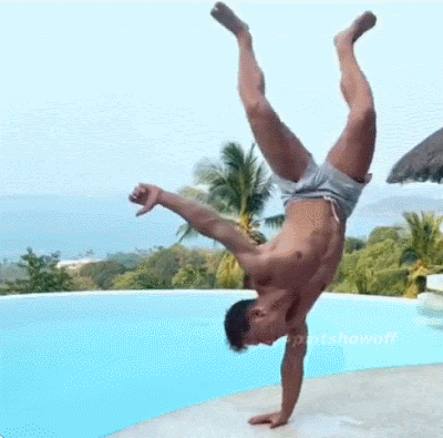 splash.gif