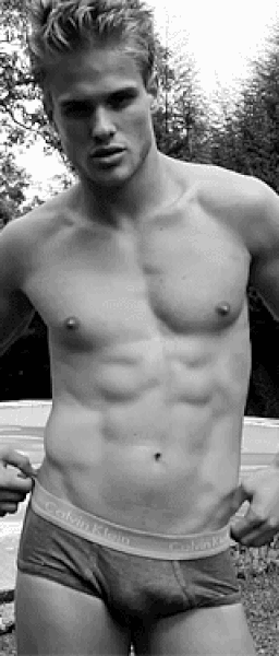 bulgemodel.gif
