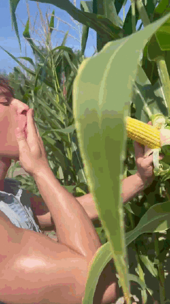 funny.gif