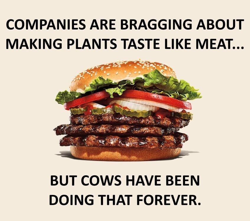 Plant Based.jpg