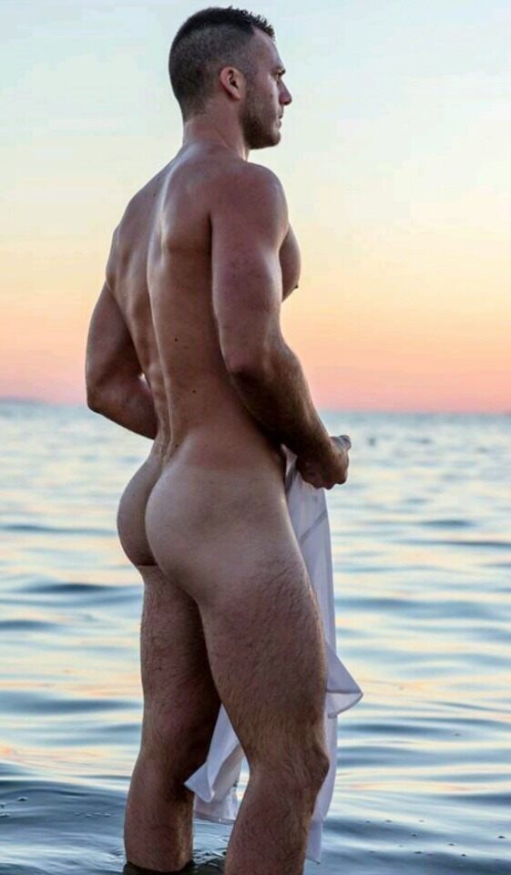 Ass6.jpg
