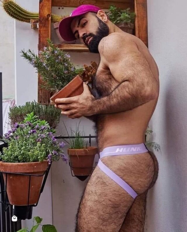 ass5.jpg