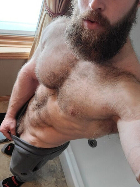 company hairy 2.jpg