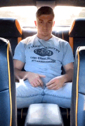 studbackseat.gif