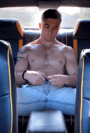 studbackseat2.gif