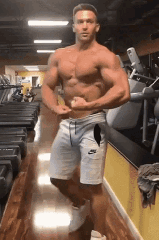 studmuscle422.gif