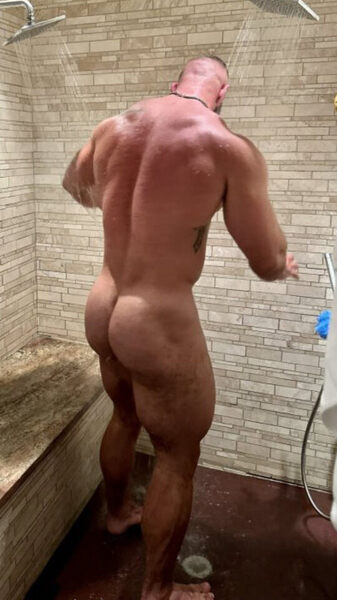 ass1.jpg
