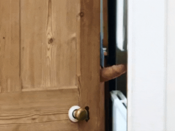 funnycockatdoor.gif