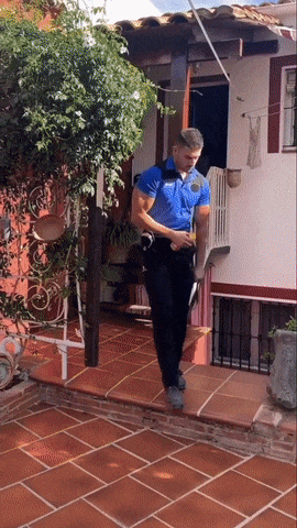 studgarda.gif