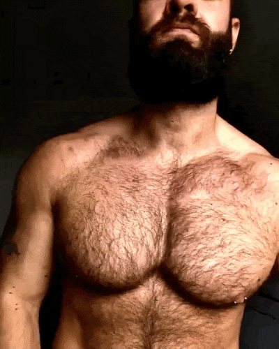 studhairychest.gif