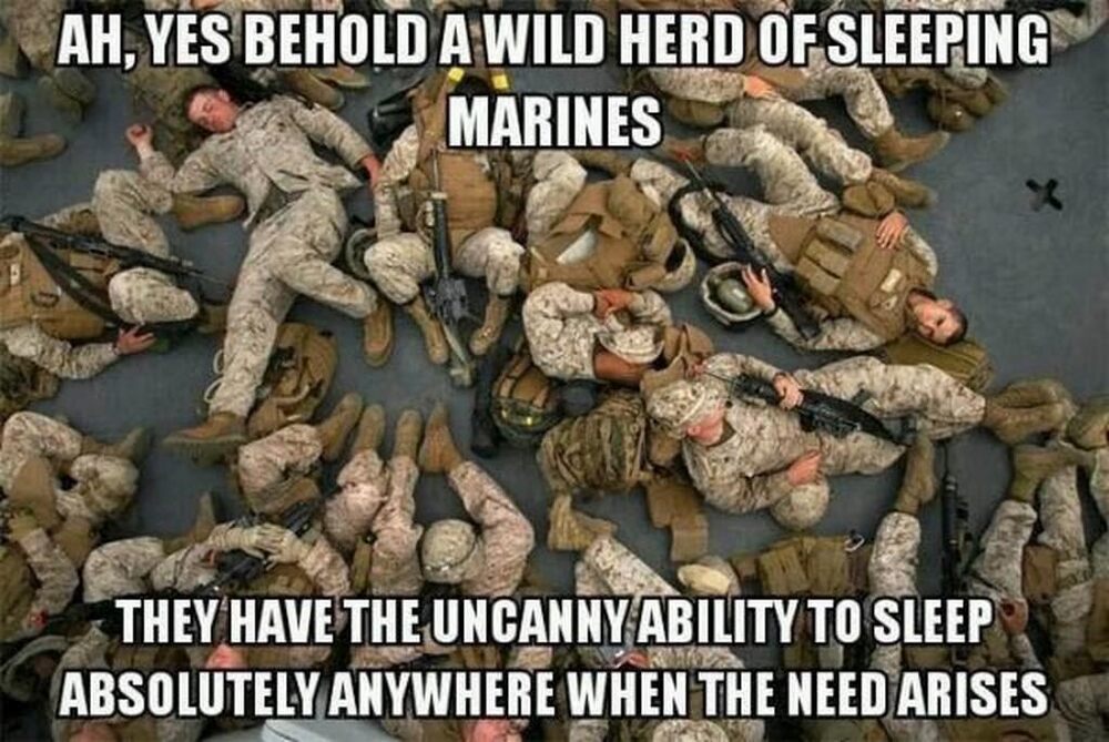 Marines.jpg