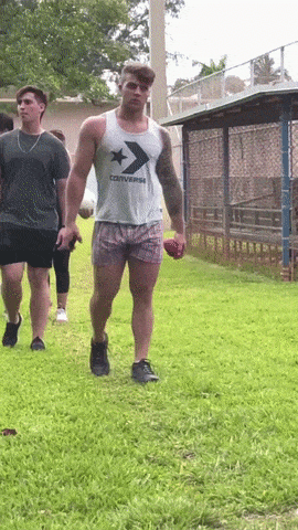 bulgewalking.gif