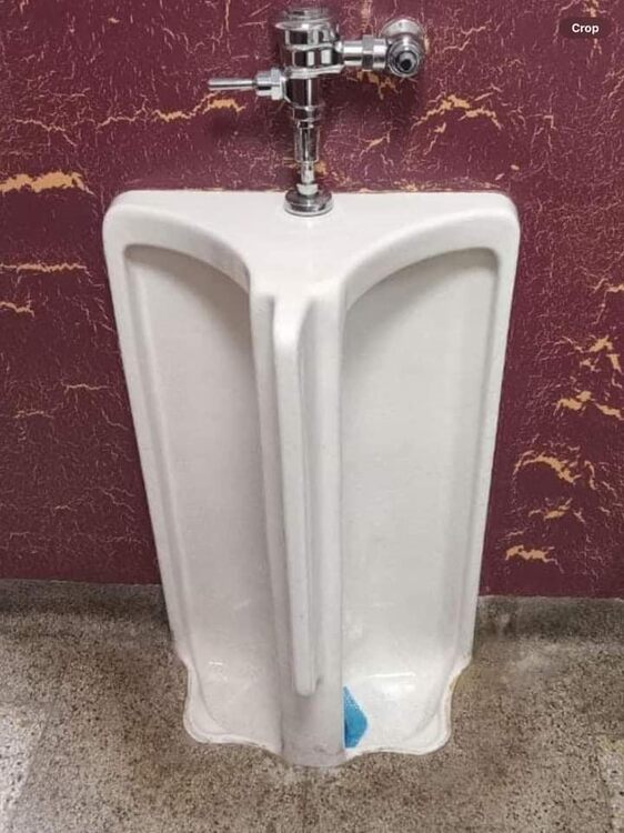 BiUrinal.jpg